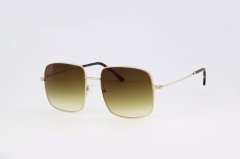 AOS 2006 C04 Silver-Brown Gradient Güneş Gözlüğü